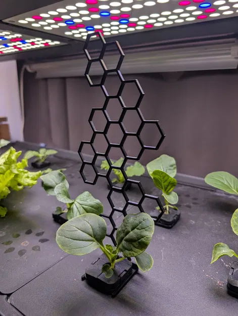 Giá Đỡ Cây Tổ Ong Cho Rise Garden - Image 1