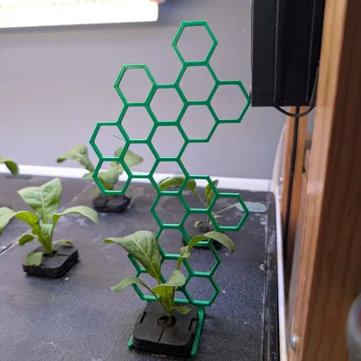 Giá Đỡ Cây Tổ Ong Cho Rise Garden