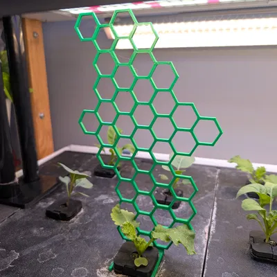 Giá Đỡ Cây Tổ Ong Cho Rise Garden