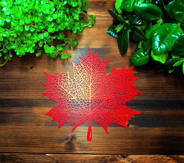 Lá Phong Voronoi (Voronoi Maple Leaf) - Image 4