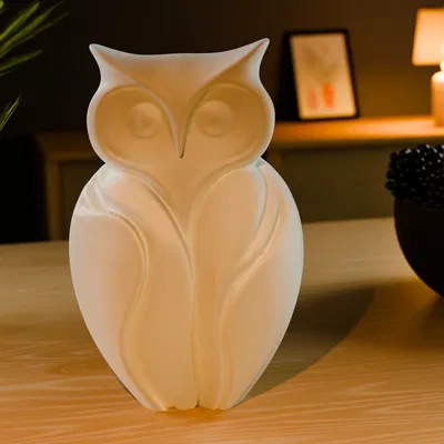 Tượng Cú Mèo (Owl Statue) In 3D Tối Giản