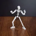 Dummy 13 - Khớp bi TPU cho phiên bản 1.0 - Thumbnail 2