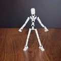 Dummy 13 - Khớp bi TPU cho phiên bản 1.0 - Thumbnail 4