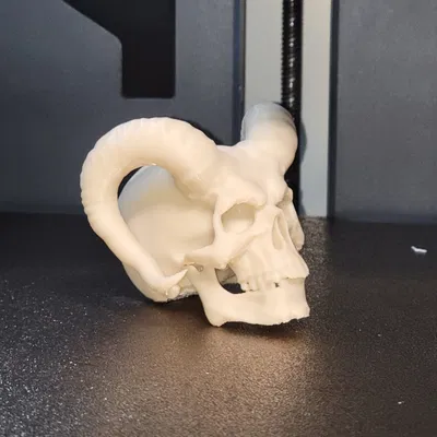 Mô Hình Đầu Lâu Quỷ Sừng Độc Đáo - Vật Trang Trí Ấn Tượng