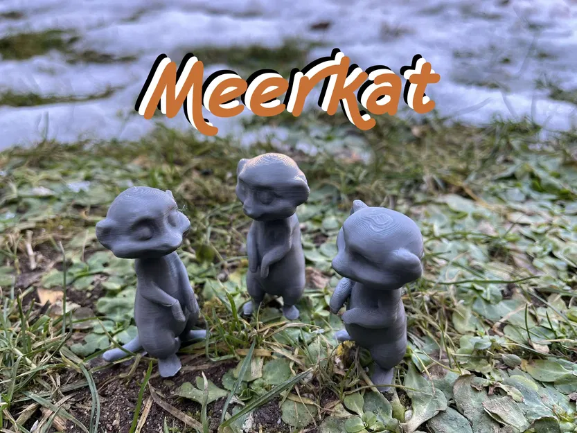 Meerkat (Surikata) Dễ Thương - Cute Meerkat, Surikata - Image 1