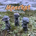 Meerkat (Surikata) Dễ Thương - Cute Meerkat, Surikata - Thumbnail 1