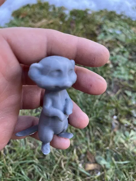 Meerkat (Surikata) Dễ Thương - Cute Meerkat, Surikata - Image 2