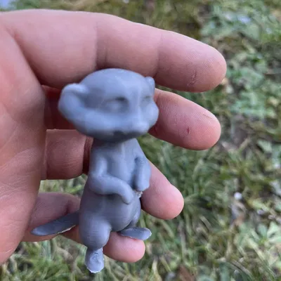 Meerkat (Surikata) Dễ Thương - Cute Meerkat, Surikata