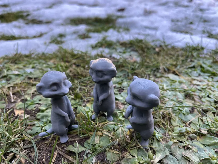 Meerkat (Surikata) Dễ Thương - Cute Meerkat, Surikata - Image 5