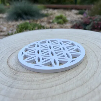 Coaster Flower of Life