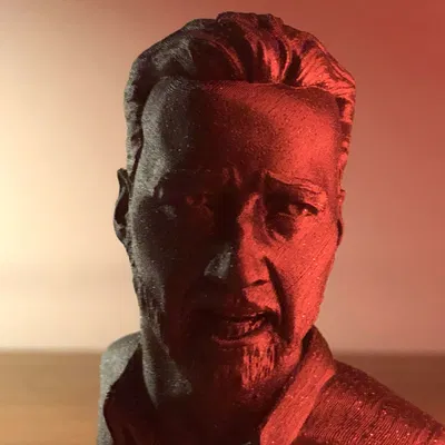 Meme Nicolas Cage Nhìn Pedro Pascal (Bust Statue)