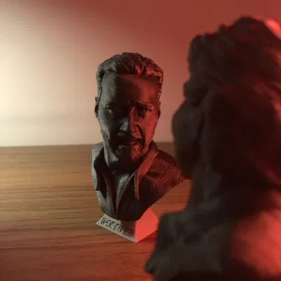 Meme Nicolas Cage Nhìn Pedro Pascal (Bust Statue)