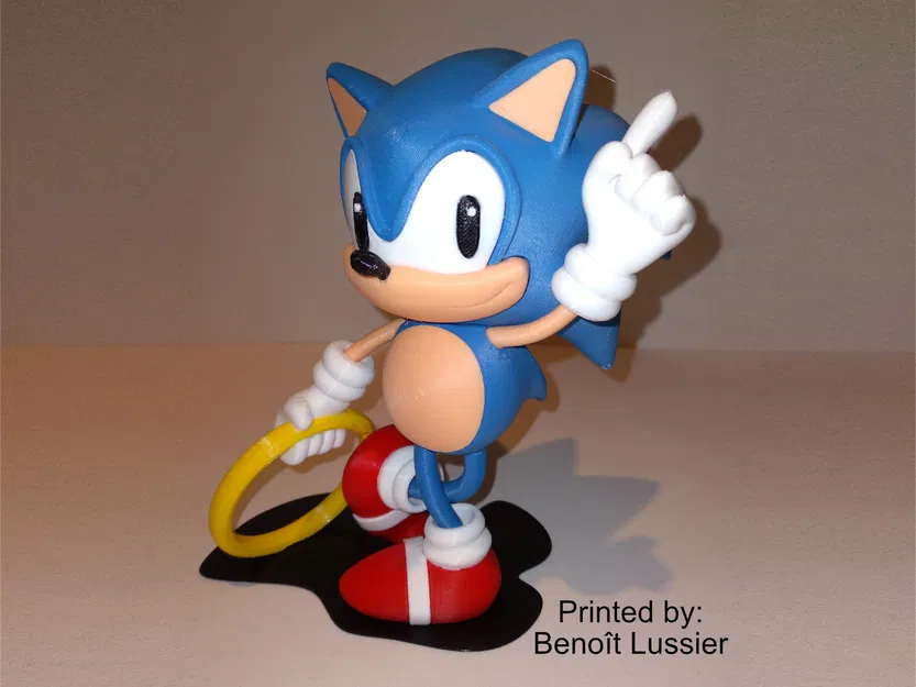 Sonic - Classic (Sonic Nhím Xanh Cổ Điển) - Image 3