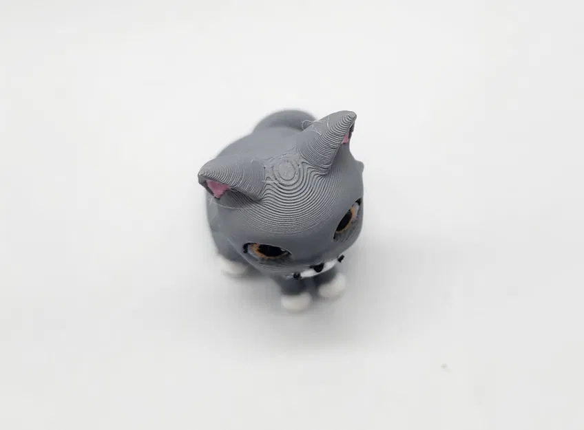 Mô Hình Mèo Dexter 3D Đáng Yêu - Quà Tặng Độc Đáo - Image 2