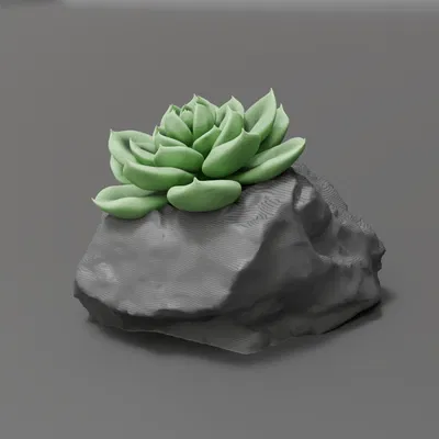 Chậu hoa/Chậu trồng cây Rockpot giả đá