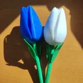 Hoa Tulip 3D - Quà Tặng Tình Nhân Độc Đáo và Ý Nghĩa - Thumbnail 1