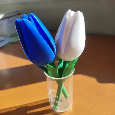 Hoa Tulip 3D - Quà Tặng Tình Nhân Độc Đáo và Ý Nghĩa