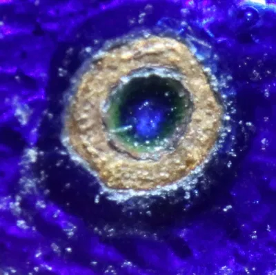 Adaptor Coupled Reverse Lens cho Macro Photography