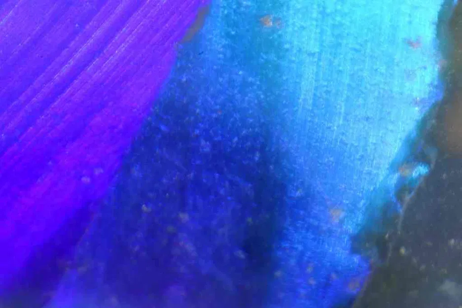 Adaptor Coupled Reverse Lens cho Macro Photography - Image 5