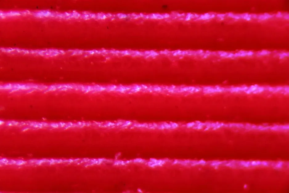 Adaptor Coupled Reverse Lens cho Macro Photography - Image 6