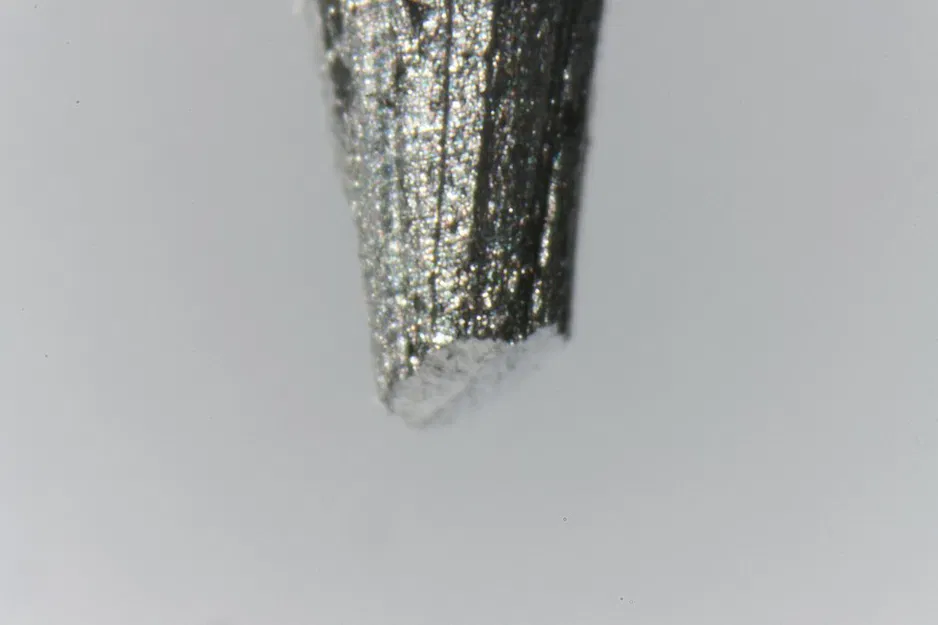 Adaptor Coupled Reverse Lens cho Macro Photography - Image 7