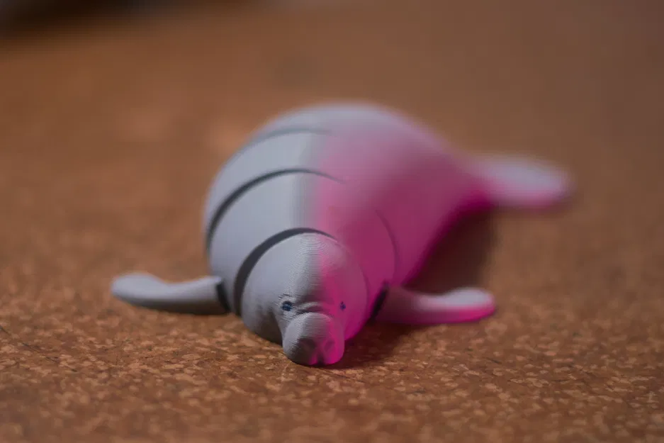 Mô Hình Hà Mã Khớp Nối In 3D - Đồ Chơi Linh Hoạt "Print-in-Place" - Image 6