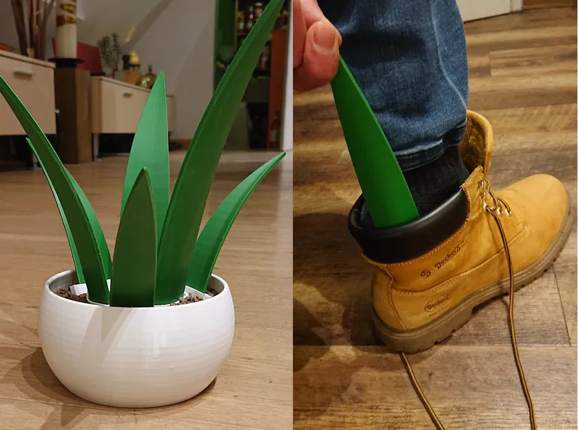 Cây Shoehorn Plant (Giá cắm shoehorn dạng chậu cây) - Image 1