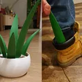 Cây Shoehorn Plant (Giá cắm shoehorn dạng chậu cây) - Thumbnail 1