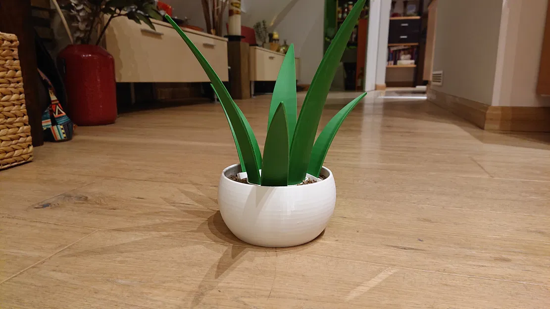 Cây Shoehorn Plant (Giá cắm shoehorn dạng chậu cây) - Image 2