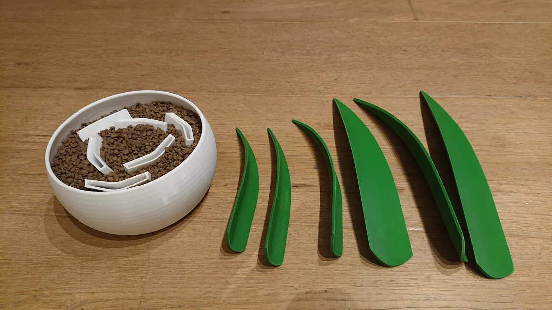 Cây Shoehorn Plant (Giá cắm shoehorn dạng chậu cây) - Image 3