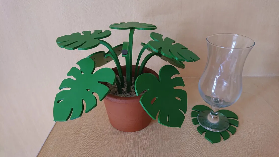 Cây Monstera lót ly (lá tháo rời) - Image 1