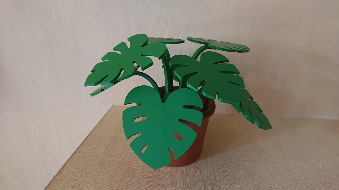 Cây Monstera lót ly (lá tháo rời) - Image 3