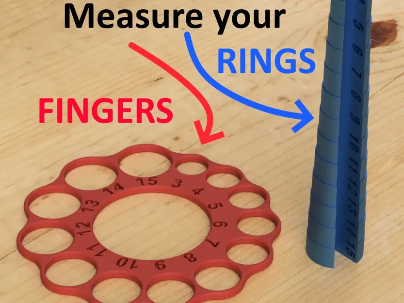 Bộ đo size nhẫn & ngón tay (Ring & Finger sizer) – EliasSchoener - Image 1