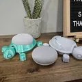 Giá đỡ Google Home Mini / Nest Mini hình Rùa Con Dễ Thương có khớp - Thumbnail 5