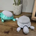 Giá đỡ Google Home Mini / Nest Mini hình Rùa Con Dễ Thương có khớp - Thumbnail 7