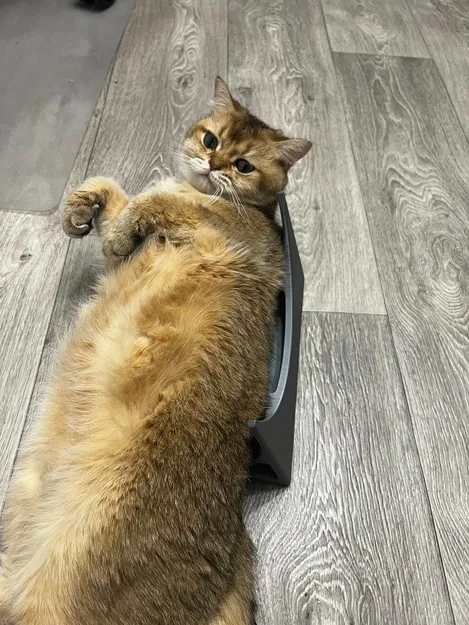 Kê chân công thái học kiểu fancy (in 3D 100%, 1 mảnh) - Image 6