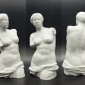 Venus de Milo (Aphrodite of Melos) – Tượng điêu khắc Hy Lạp cổ đại - Thumbnail 1