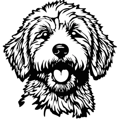 Tranh Treo Tường Chó Golden Doodle 3D Đáng Yêu