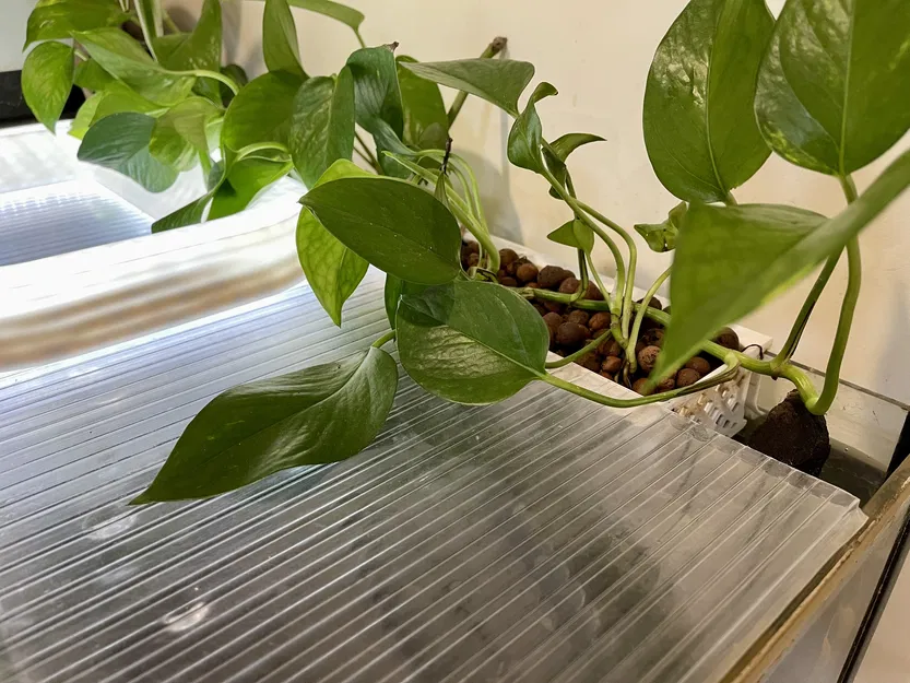 Giỏ trồng cây gắn bể cá (Fish Tank Planter Basket) - Image 2