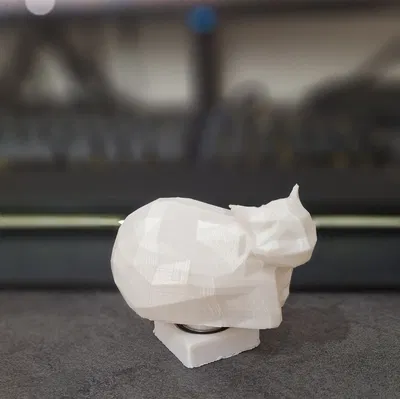 Spinning Maxwell Cat oiiaiioiiiai