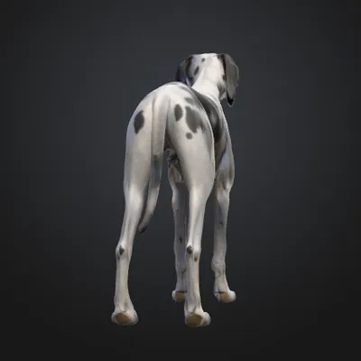 Chó Great Dane (Great Dane Dog) – Mẫu đơn giản kèm bản Low Poly