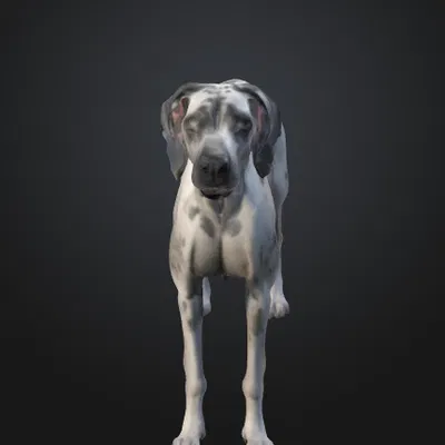 Chó Great Dane (Great Dane Dog) – Mẫu đơn giản kèm bản Low Poly