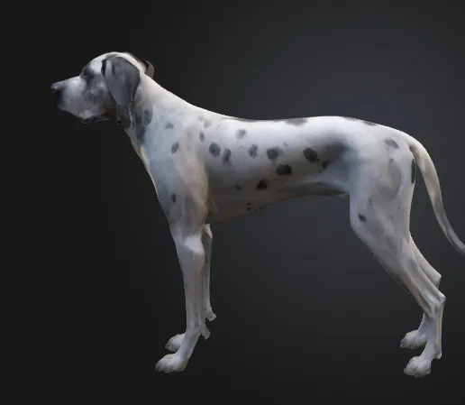 Chó Great Dane (Great Dane Dog) – Mẫu đơn giản kèm bản Low Poly - Image 4