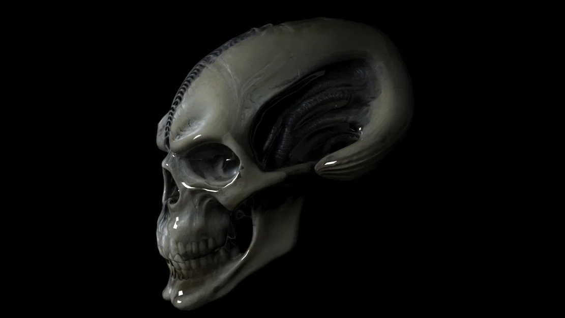 Đầu Lâu Alien 3D - Mô Hình Đáng Sợ Cho Dân Khoa Học Viễn Tưởng - Image 1