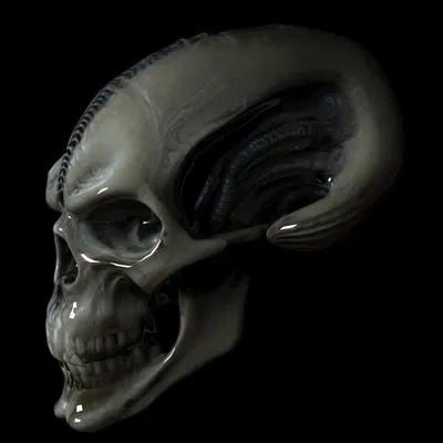 Đầu Lâu Alien 3D - Mô Hình Đáng Sợ Cho Dân Khoa Học Viễn Tưởng