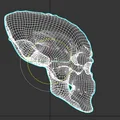Đầu Lâu Alien 3D - Mô Hình Đáng Sợ Cho Dân Khoa Học Viễn Tưởng - Thumbnail 3
