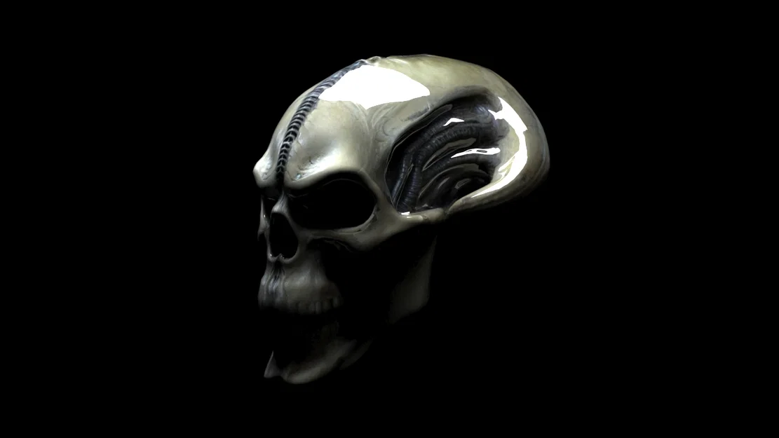 Đầu Lâu Alien 3D - Mô Hình Đáng Sợ Cho Dân Khoa Học Viễn Tưởng - Image 4