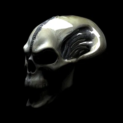 Đầu Lâu Alien 3D - Mô Hình Đáng Sợ Cho Dân Khoa Học Viễn Tưởng