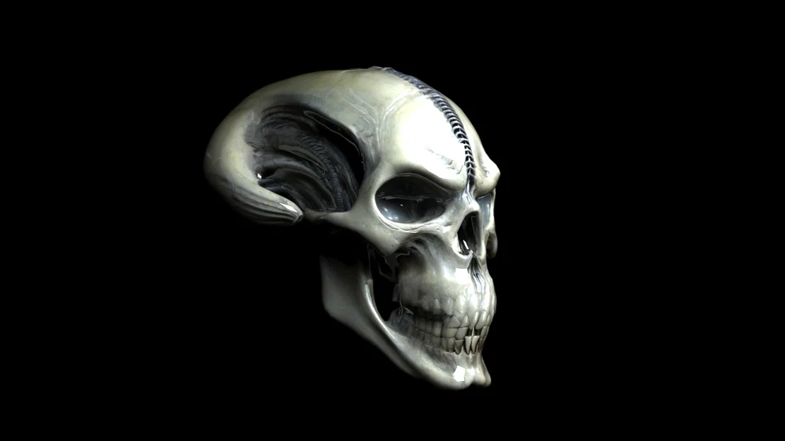 Đầu Lâu Alien 3D - Mô Hình Đáng Sợ Cho Dân Khoa Học Viễn Tưởng - Image 5