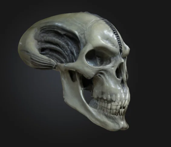 Đầu Lâu Alien 3D - Mô Hình Đáng Sợ Cho Dân Khoa Học Viễn Tưởng - Image 7
